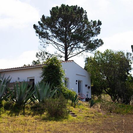 Monte Da Urze Aljezur - Agroturismo Eksteriør bilde