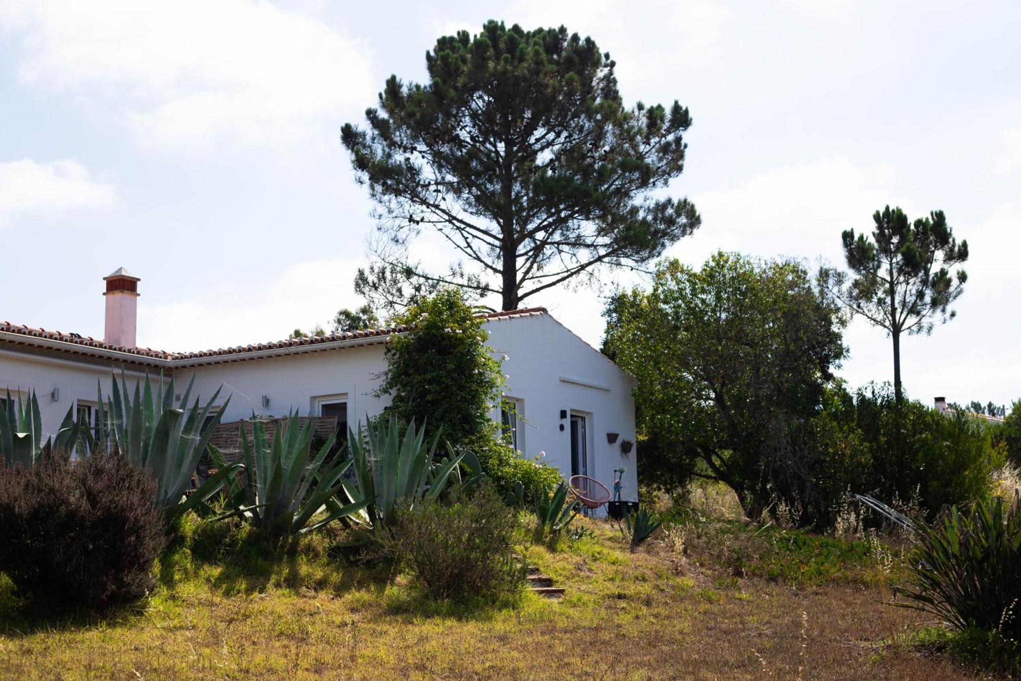 Monte Da Urze Aljezur - Agroturismo Eksteriør bilde